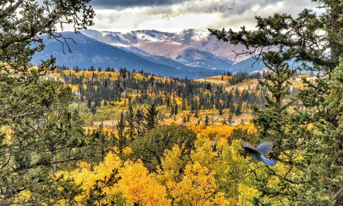 Indian Mountain Ski Chalet | Your Colorado Mountain Getaway!