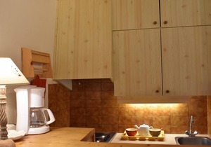 200m from shops, 1st floor, balcony, tv, 33m², Méribel