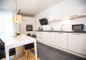 Comfortable studio flat Höchsten