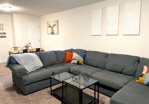 NEW Beautiful 4BR Home in Denver