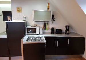 Vacation apartment/apartment for 3 guests with 49m² in Fehmarn OT Todendorf (120396)