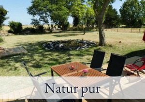 Vacation apartment/apartment for 4 guests with 64m² in Fehmarn OT Sulsdorf (76845)