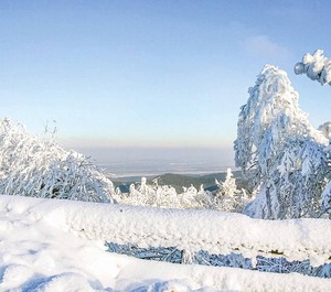 Accommodation Viechtach 