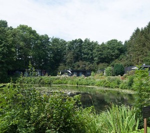 Vrbo Property 