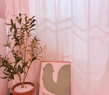 Sinsa-dong Apartment | 다원스테이 가로수길3분 신사역