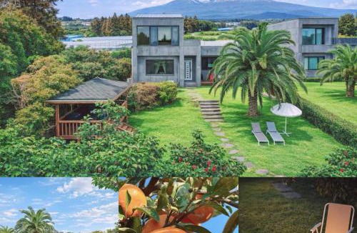 Seogwipo City House | 동홍별장 Fantastic Tangerine Orchard, Hallasan View, Private Villa for One Team Only, Large BBQ, Toddler Hot Spring Pool, Large Family, Top Rated Location