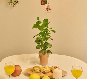 Hwayang-dong Hotel | 라곰 스테이 Lagom Stay 성수,건대