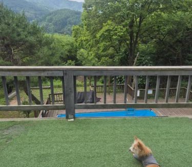 Dunnae Apartment | 복층 스파 개별 테라스 애견 운동장 포마이코티지 3 숲속 집 cottage