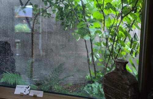 Jocheon House | 제주 감성숙소 스테이보스케