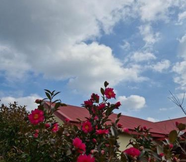 Andeok House | 제주 독채 Stay 미스동백