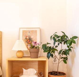 Andeok House | 제주 독채 Stay 미스동백