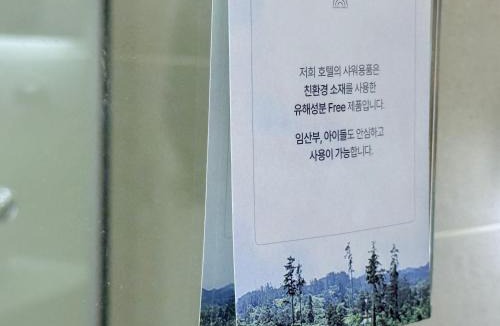 Downtown Hotel | 제주 신성의 숲 웰니스 호텔