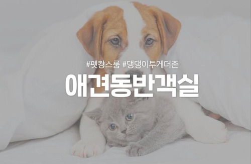 Pyeongni-dong Hotel | 호텔 더스테이낭만 평리점