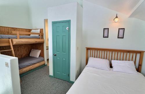 Leadville House | 2 Bed Cabin Fireplace Lodgepole Pines