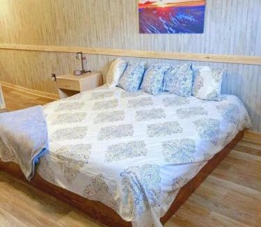 Leadville Apartment | 2 Dog Friendly Private Cozy Room in Leadville