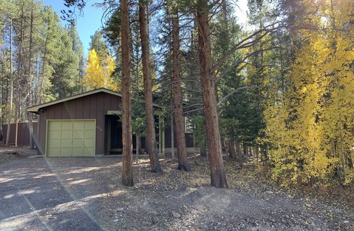 Leadville North Cabin | 3 Bed 2 Bath cabin nestled in the pines of Leadville nearby Tq Lake & Ski Cooper