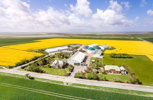 Reussenkoge Apartment | 4-sterne-ferienwohnung "sylt" im Landhausstil zum Wohlfühlen