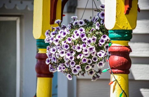 Leadville Apartment | 6 Renovated Cozy Room Dog Friendly Motel Leadville