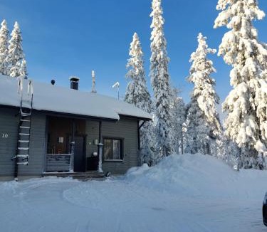 Syote Villa | Aihki Pine Cottage, Iso-Syöte