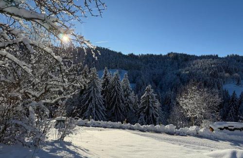 Buchenberg House | Alpe Sonnenruh