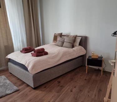 Eibau Apartment | Alte Bibliothek