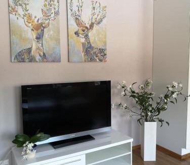 Bole Apartment | ANNA - Modern flat with Sauna - 24h Check in
