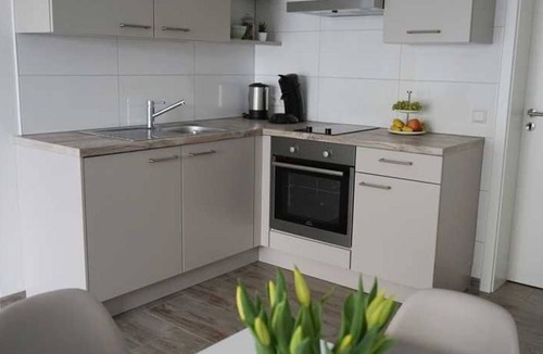 Rust Apartment | Apartment Soda - Apartment soda