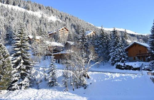 Meribel Apartment | Appartement 2 Pièces, Cabine, Balcon, Près des Pistes, 6 Pers - FR-1-180-95