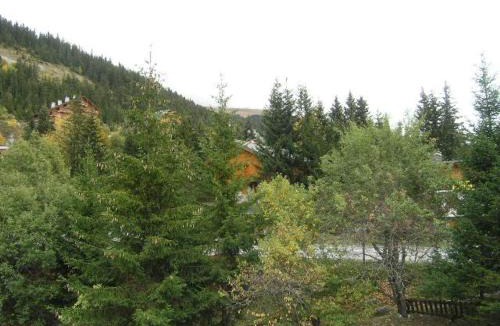 Meribel Apartment | Appartement 2 Pièces, Cabine, Balcon, Près des Pistes, 6 Pers - FR-1-180-95