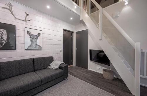 Syote Apartment | Aurinkorinne 4 - Modern ski-in ski-out apartment with sauna