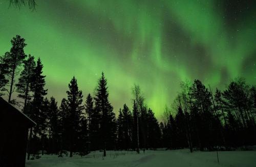 Jormua Ski Chalet | Autiojärven kelomökki 85m2