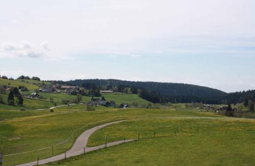 Ibach Apartment | Bürschtehanse-Hof