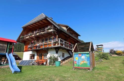Titisee-Neustadt Apartment | Balzenhof