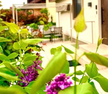 Binzen Apartment | BlackForest 22