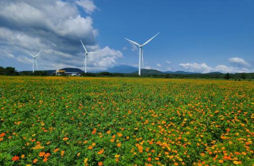 Namwon House | Brassica Flower Pension