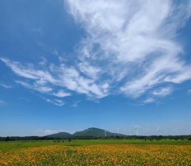 Namwon House | Brassica Flower Pension