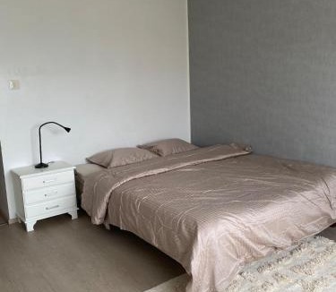 Jyvaskyla Apartment | Bright apartment with a separate kitchen