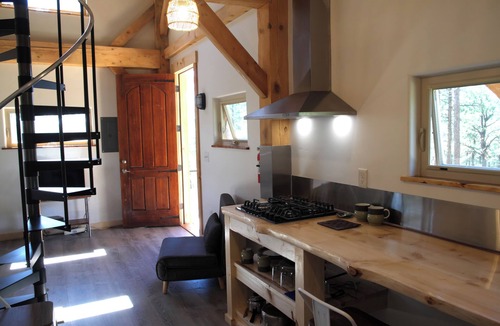 Durango Cabin | Cabin in the Pines with beautiful Mountain Views
