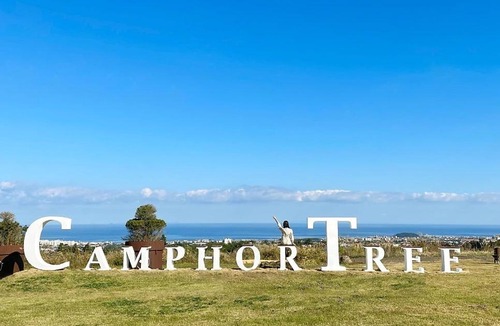 Nohyeong-dong Resort | Camphortree Hotel and Resort
