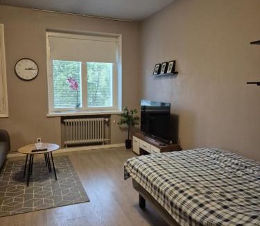 Vaasa Apartment | Central Studio in Vaasa with Free Parking