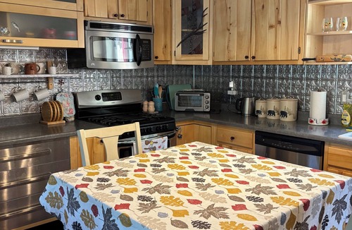 Lewis Cabin | Charming 2 bedroom/1 bath with AC in peaceful Dolores
