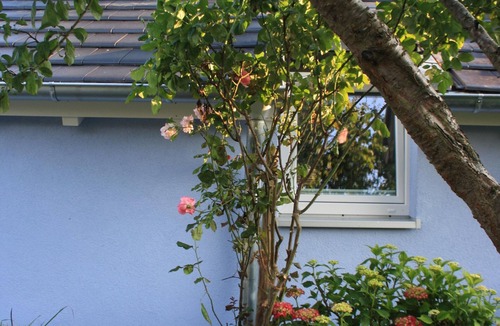 Egg Apartment | Charming apartment in Constance