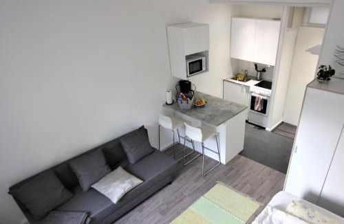 Jyvaskyla Apartment | City Centre Apartment Puistokatu 29