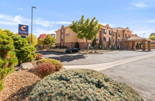 Lakewood Hotel | Comfort Suites Lakewood - Denver