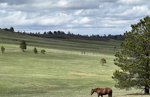Monument House | Country home on scenic, quiet acreage near Monument. Convenient to interstate.