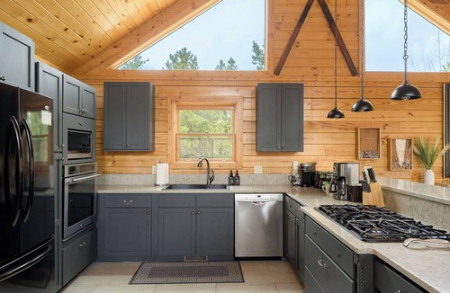 Bailey Cabin | Cozy Mountain Cabin with Hot Tub and Views 1hr from Denver. Pet Friendly!