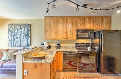Four O'Clock Condo | Cozy Ski-in 4 O'Clock Run/5 Minute Walk to Town/Dog Friendly 1BR!