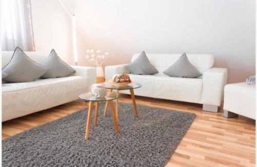 Schnetzenhausen Apartment | Deluxe Maisonette Apartment Prestige 1