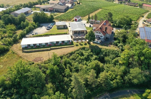 Sommerhausen Apartment | Dornfelder" vacation apartment (65sqm)