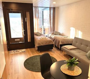 Seinajoki Apartment | Edullinen yksiö keskustassa omalla sisäänkäynnillä